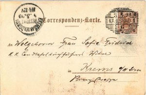 1899 (Vorläufer) Karlovy Vary, Karlsbad; Sprudel. V. Brünn Secesní litografie (fl)