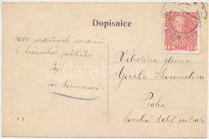 1912 Peklo (Náchod), secesný pozdrav so satyrami