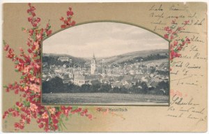 Velké Mezirící, Gross Meseritsch; F. Zenzinger Art Nouveau, floral litho (EB)