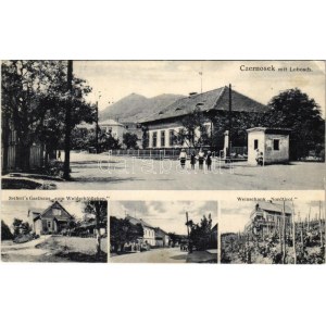 1938 Velké Zernoseky, Czernosek mit Lobosch; Seifert's Gasthaus zum Waldschlösschen, Weinschank Nordtirol / ulice...