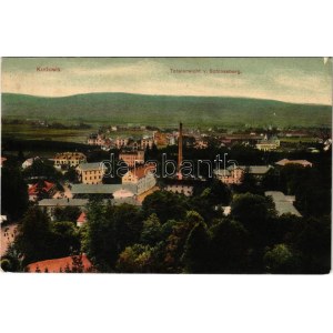 1909 Kudowa-Zdrój, Totalansicht v. Schlossberg (tiny tear)