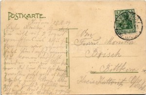 1909 Kudowa-Zdrój, Totalansicht v. Schlossberg (drobná trhlina)