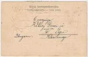 1900 Nowy Sacz, Nowego Sacza, Neu Sandez, Újszandec; Ruiny Zamku Jagiellonów...