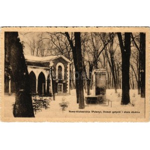 1917 Pulawy, Nowo Aleksandrija (Nowa Aleksandria); Domek gotycki i stara studnia / Gotisches Haus und alter Brunnen im Winter ...