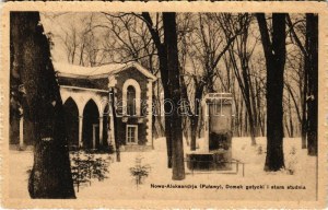 1917 Puławy, Nowa Aleksandria; Domek gotycki i stara studnia zimą ...