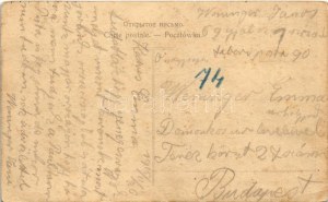 1915 Tomaszów Mazowiecki, Tomaschow; Zabytkowy Palac Moritza Piescha / Palast (kleiner Riss)