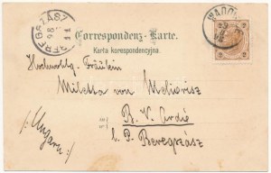1898 (Vorläufer) Wadowice, Rynek, Gimnazium / Platz, Kirche, Schule. P. Foltin Jugendstil, Litho (fl...