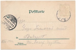 1900 Wroclaw, Breslau ; Bibliotek, Sandkirche, Tauenzien Platz / église, bibliothèque. J. Miesler Art nouveau, floral, lithographie ...