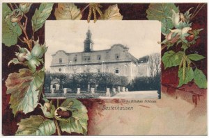 1907 Zastruze, Sasterhausen (Zarów); Herrschaftliches Schloss / castle. A. Schuch Art Nouveau, litho (EK...
