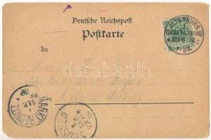 1892 (Vorläufer) Altenburg, Gruss von der Insel, grosser Teich. Hauenstein u. Nestler Jugendstil, floral (EB...