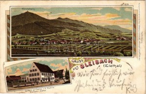 1905 Bleibach (Gutach im Breisgau), Hornleberg, Gasthaus zur Sonne v. H. Wehrle / celkový pohled, hostinec. Secesní...