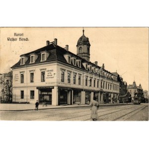1908 Drezno, Weisser Hirsch (Weisser Hirsch); Kurort, Kurhaus, Hotel, Pensjonat, Restauracja...