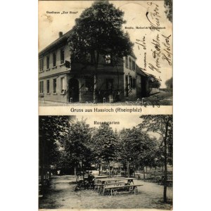 1907 Haßloch, Hassloch (Rheinpfalz) ; Gasthaus Zur Rose, Rosengarten / auberge, jardin (fl)