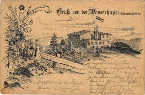 1894 (Vorläufer !!!) Wasserkuppe (Rhöngebirge), maison de repos. Art nouveau, floral, litho (fl)