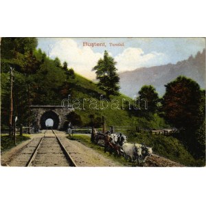 Busteni, Tunelul / railway tunnel (EK)