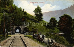 Busteni, Tunelul / tunnel ferroviario (EK)