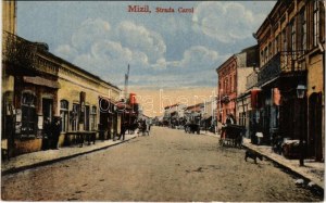 Mizil, Strada Carol / street view, shops (wet corners)