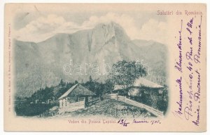 1901 Poiana Tapului, casa di riposo di montagna. Ad. Maier & D. Stern (EK)
