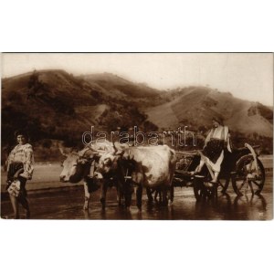 Romania, oxen cart with Romanian women, folklore. A. Bellu Cartea Romaneasca Bucuresti (fl)