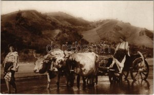 Roumanie, charrette à bœufs avec femmes roumaines, folklore. A. Bellu 