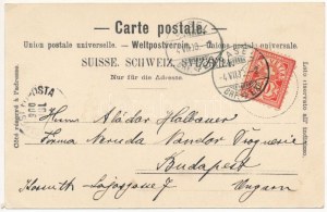 1900 Basilej, St. Jacobs Denkmal / památník. Rathe & Fehlmann 415. Secesní, litografický rám s květinou (EK...