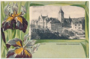 Zurigo, Schweizerisches Landesmuseum / Museo nazionale svizzero. Editore Ceasar Schmidt. Art Nouveau...