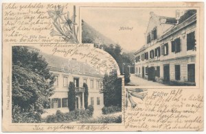 1908 Lasko, Tüffer; Villa Sann, hotel Mühlhof. Verlag Josefine Zink, secese, květinová (EK)