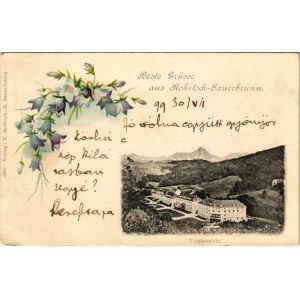 1899 (Vorläufer) Rogaska Slatina, Rohitsch-Sauerbrunn; Totalansicht / general view, spa. Květiny, litografie (EK...