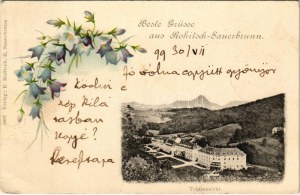 1899 (Vorläufer) Rogaska Slatina, Rohitsch-Sauerbrunn; Totalansicht / general view, spa. Květiny, litografie (EK...