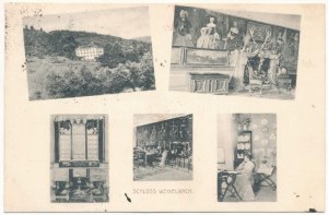 1908 Visnja Gora, Weixelburg; castello Codelli, interno