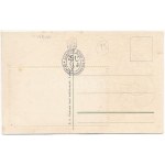 Lviv, Lwów, Lemberg; Ogólny widok / Hügel / litografia in rilievo Art Nouveau con la bandiera della monarchia asburgica (fl...