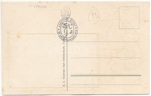 Lviv, Lwów, Lemberg; Ogólny widok / Hügel / Jugendstil-Prägelithographie mit der Flagge der Habsburger Monarchie (fl...