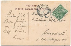 1907 Rava-Ruska, Rawa Ruska; pohľad na ulicu s obchodom. Lichtdruck Hofphotograph Adolph (EB)