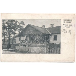 1909 Sasiv, Sassów; Willa Elza / villa (EB)