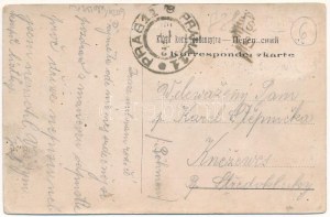 1909 Sasów, Sassów; Willa Elza / willa (EB)