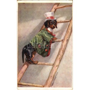 Dachshund dog on a ladder. B.K.W.I. 797-6. s: Mechle-Grosmann (EK)