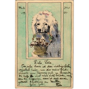 1901 Juli, Tölz / Uszkár kutya kis cicákkal - kézzel festett / Poodle dog with kittens - hand painted (EK...