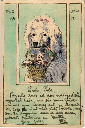 1901 Juli, Tölz / Uszkár kutya kis cicákkal - kézzel festett / Cane barboncino con gattini - dipinto a mano (EK...