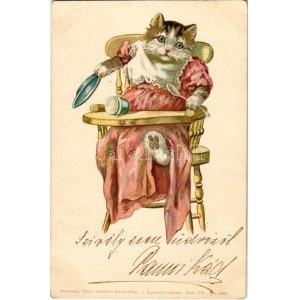 1899 (Vorläufer) Hungry baby cat. Theo. Stroefer's Kunstverlag. Aquarell-Postkarte Serie VII. No. 5499...