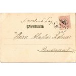 1899 (Vorläufer) Gatto affamato. Theo. Stroefer's Kunstverlag. Aquarell-Postkarte Serie VII. No. 5499...