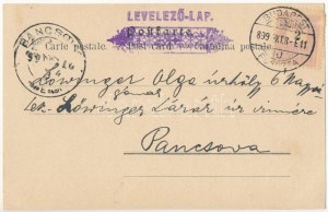 1899 (Vorläufer) Dame Art Nouveau. Philipp & Kramer Wiener Künstler-Postkarte Serie III/6. s : Koloman Moser ...