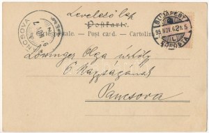 1899 (Vorläufer) Dame Art Nouveau. Philipp & Kramer Wiener Künstler-Postkarte Serie I/9. s...