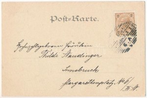 1899 (Vorläufer) Alles strebt dem Lichte zu mit den sehnlichstem Verlangen... Franz Schöler Wien XIX. ...