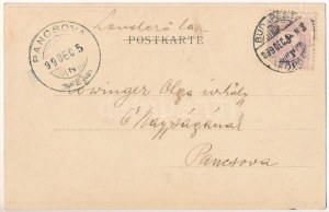 1899 (Vorläufer) Aubepine Esperance. Belgischer Jugendstil, Florale Postkarte. Dietrich & Co. Bruxelles litho s...