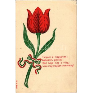 1906 Tulipánt a magyarnak... Hazafias propaganda magyar szalaggal / Ungarische patriotische Propaganda, Tulpe mit Schleife ...