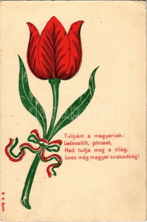 1906 Tulipánt a magyarnak... Hazafias propaganda magyar szalaggal / Węgierska propaganda patriotyczna, tulipan ze wstążką ...