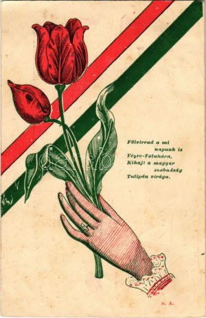 1906 Fölvirrad a mi napunk is végre-valahára, kihajt a magyar szabadság tulipán virága...