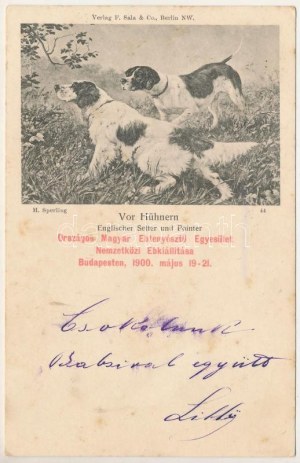 1900 Országos Magyar Ebtenyésztő Egyesület Nemzetközi Ebkiállítása Budapesten, 1900. május 19-21. / Vor Höhnern...