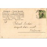 1907 Boldog Újévet ! / Carte postale de vœux pour le Nouvel An avec une dame sur une calèche tirée par un cochon. Art nouveau, floral, litho ...