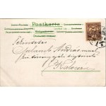 1901 Boldog Újévet! / Novoročná pohľadnica s prasiatkami držiacimi ďatelinu. litografia (EK)